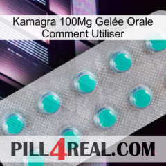 Kamagra 100Mg Gelée Orale Comment Utiliser 28